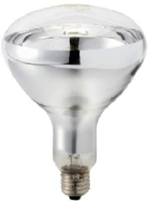 JK HEAT PLUS 375W R40 적외선 램프 Clear 120-130V Hard Glass